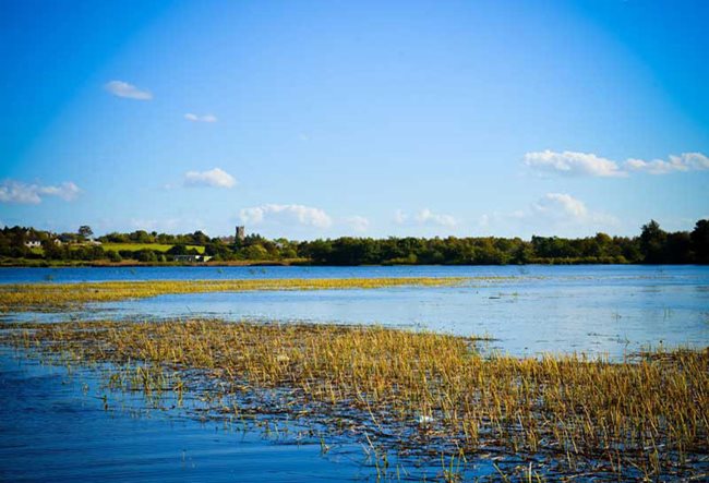 Lough Neagh near Creeve House Inn